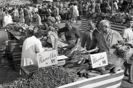 Rok 1963:Prvá bratislavská samoobsluha zeleniny