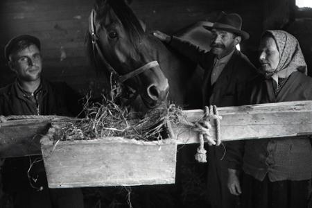 Rok 1955: Sovietsky ľud venoval rodičom kpt. Nálepku koňa