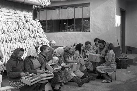 Rok 1965: Rekvalifikované ženy vyrábajú výrobky pre USA