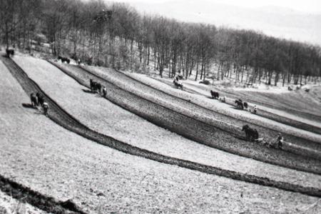 Rok 1950: Na dedinské polia prichádzajú traktory