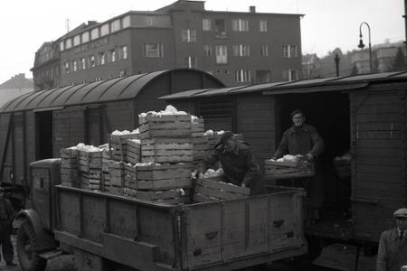 Rok 1948: V Bratislave sa objavil nový typ obchodov - zelovoc