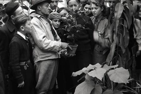 Rok 1953: Prvé celoštátne stretnutie mladých mičurincov