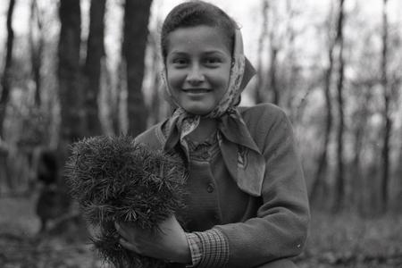 Rok 1957: Zväzáci zalesňujú okolie Smoleníc