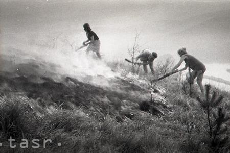 Rok 1968: Horí Devínska Kobyla