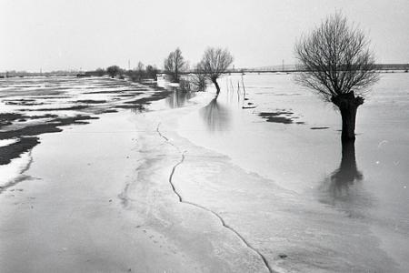 Rok 1956: Reguláciu riek Nitra a Žitava vyhlásili za národnú stavbu