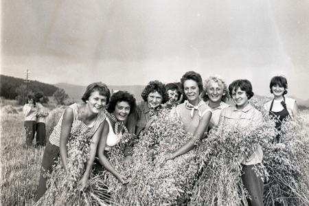 Rok 1961: Mládež pomáha poľnohospodárom