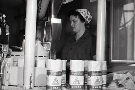 Rok 1966: Prvý kryštálový cukor z cukrovaru Šurany 