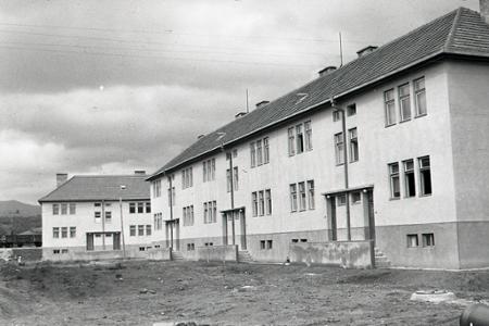 Rok 1950: Nové byty za 52 dní