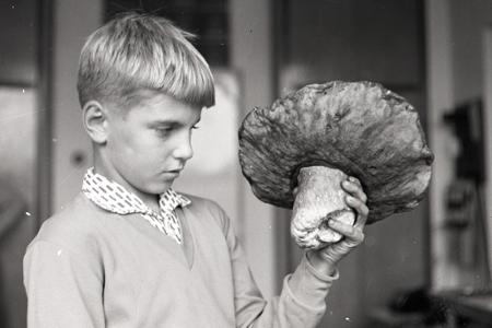 Rok 1964: Tohtoročná jeseň praje hubárom