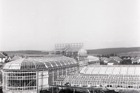 Rok 1955: V Košiciach budujú botanickú záhradu