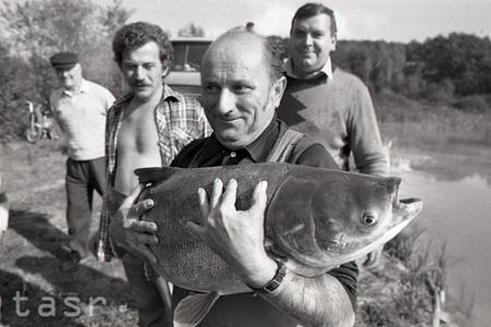 Rok 1989: Zarybňovanie rybárskych revírov v okolí Lučenca