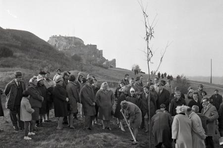 Rok 1968: Zasadili Strom republiky 