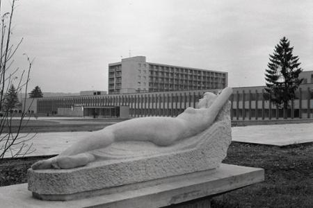 Rok 1970: V Dudinciach vybudovali najmodernejší čs. liečebný ústav 
