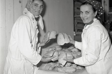 Rok 1967: Husacia pečienka - pochúťka na export 	