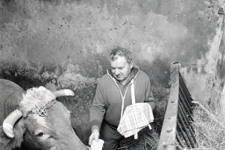 Pravoslávne Vianoce