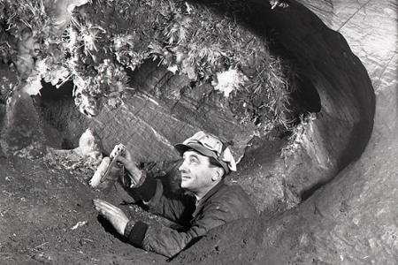 Rok 1957: Odkrývajú krásu novej aragonitovej jaskyne