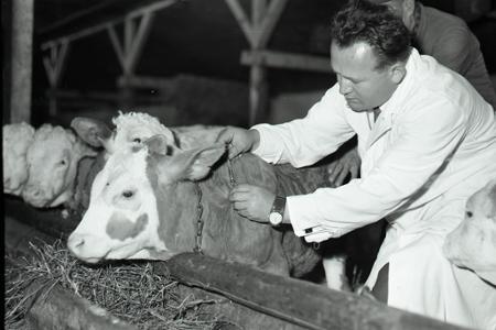 Rok 1966: Západoslovenskí veterinári najlepší v republike
