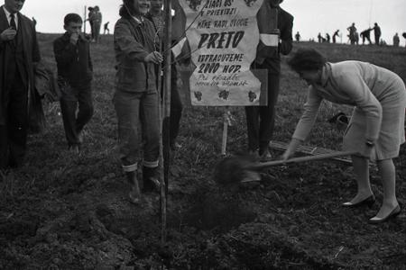 Rok 1960: Nové ovocné stromy pre Hornú Nitru