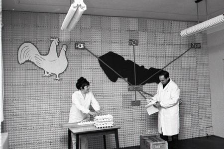 Rok 1974:Najlepšie vajcia a kuracie mäso v rámci RVHP pochádza z ČSSR