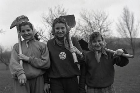 Rok 1955: Pracujúci a mládež zveľaďujú svoje mestá a obce